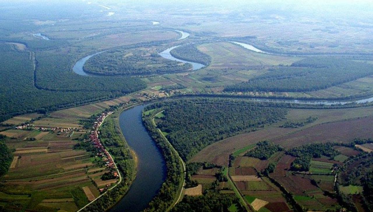 Lonjsko polje
