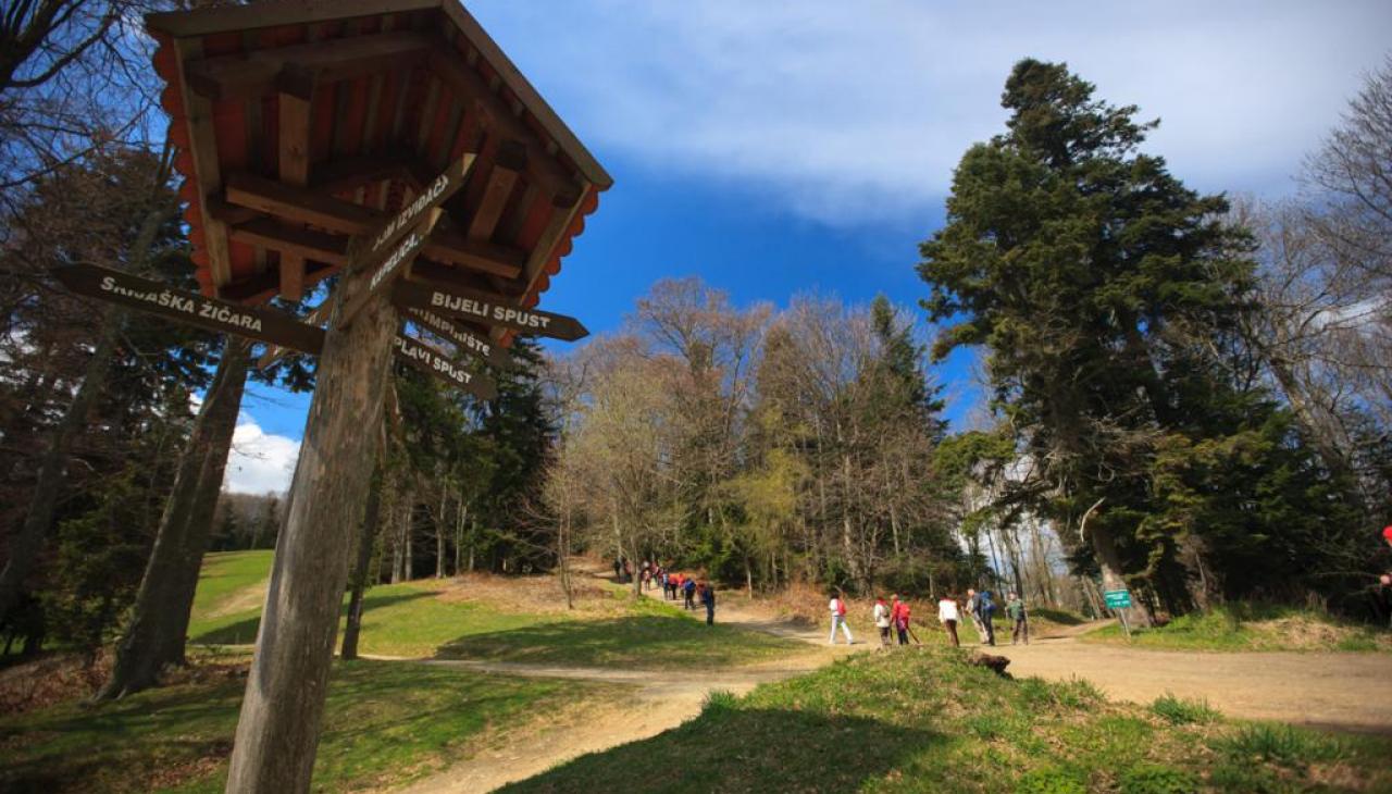Medvednica